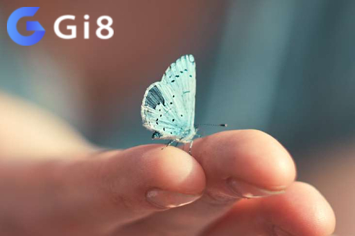 Lý giải tình huống vô tình thấy bướm giải đáp bướm số đề số mấy Lý giải tình huống vô tình thấy bướm giải đáp bướm số đề số mấy
