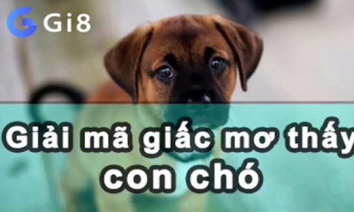 Nằm mơ thấy có con chó Nằm mơ thấy có con chó