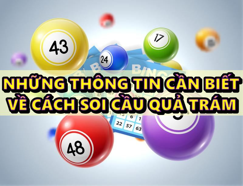 Soi cầu quả trám và những thông tin cần biết