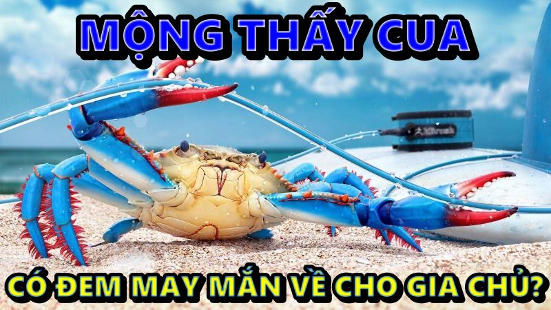 Giấc Mơ Thấy Cua Có Đem May Mắn Về Cho Gia Chủ?