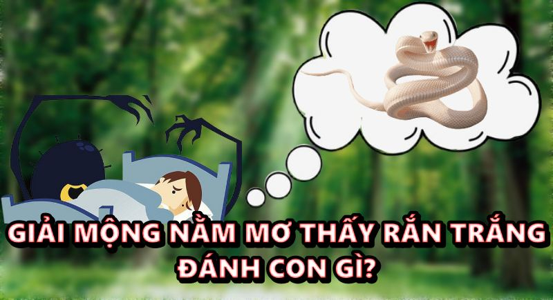 Giải mộng nằm mơ thấy rắn trắng đánh con gì?