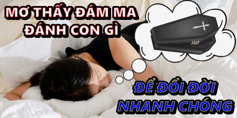 Mơ thấy đám ma đánh con gì để đổi đời nhanh chóng?