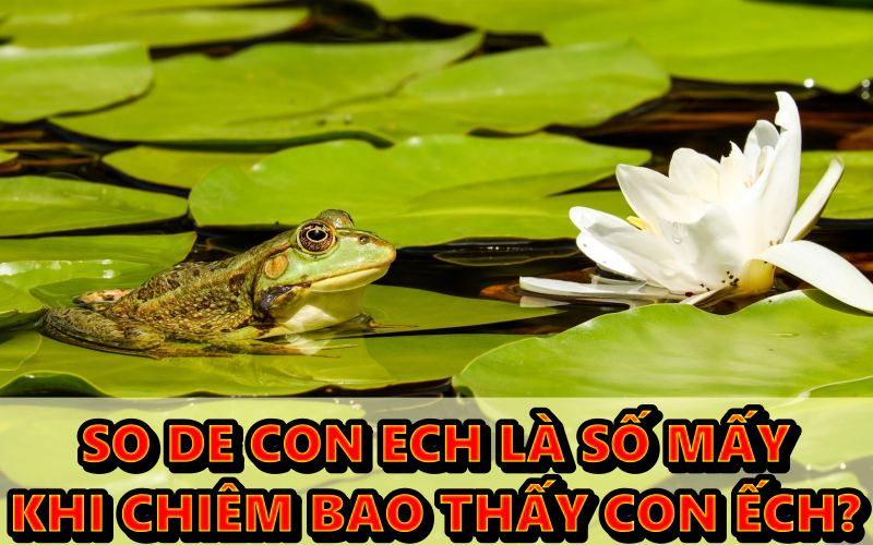 so de con ech là số mấy khi chiêm bao thấy con ếch?