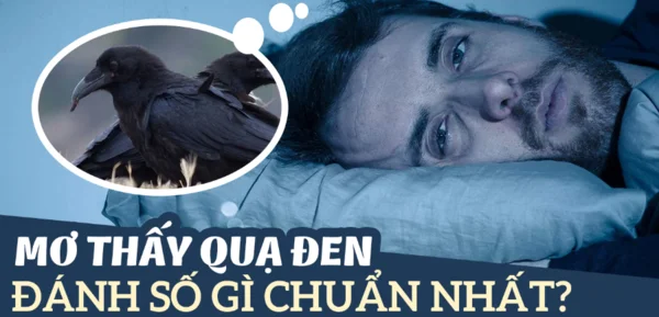 Nằm mơ thấy quạ đen thì đánh con số mấy cho hiệu quả nhất Nằm mơ thấy quạ đen thì đánh con số mấy cho hiệu quả nhất