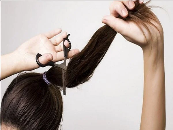 Nắm vững kinh nghiệm về Mơ cắt tóc đánh con gì để sử dụng hiệu quả Nắm vững kinh nghiệm về Mơ cắt tóc đánh con gì? để sử dụng hiệu quả