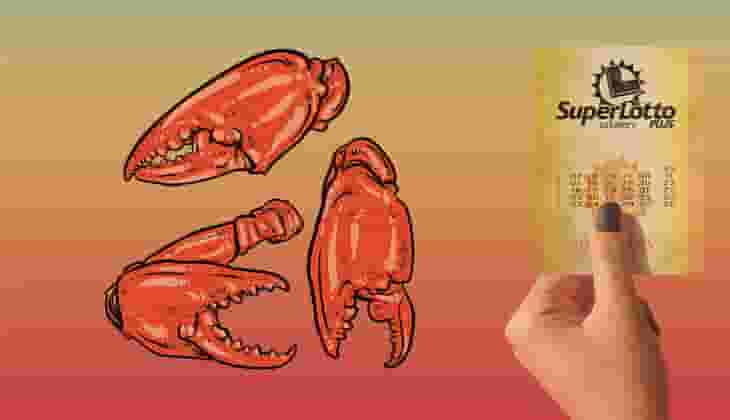 3 càng - Ưu điểm vượt trội không nên bỏ qua