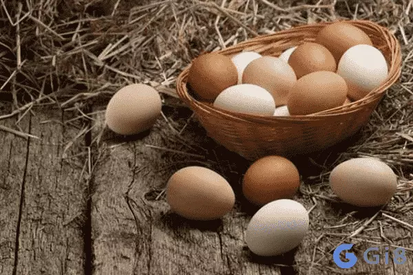 Mơ thấy trứng gà nở đánh con gì bất bại thần sầu? Mơ thấy trứng gà nở đánh con gì bất bại thần sầu?