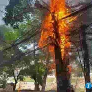 mơ lửa cháy đánh con gì ? gi88