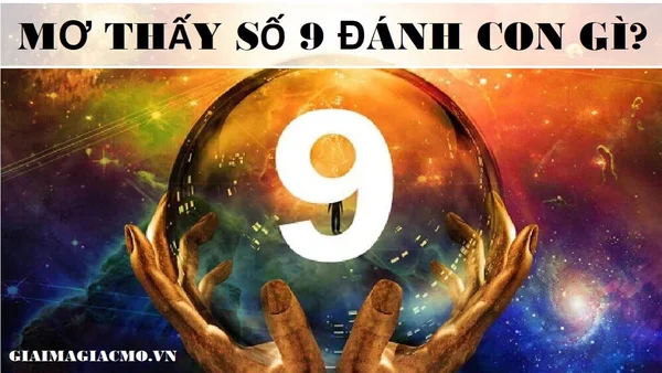 Mơ thấy số 9 đánh con gì – Ý nghĩa của số 9 trong phong thủy Mơ thấy số 9 đánh con gì - Ý nghĩa của số 9 trong phong thủy