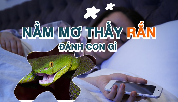 rắn số mấy đánh đề con gì ? gi88