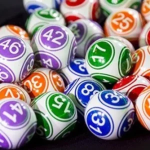 Lo kep nuoi khung thời gian 2 ngày đơn giản