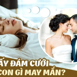 Mo thay dam cuoi đánh con gì dễ trúng ? (gi88)