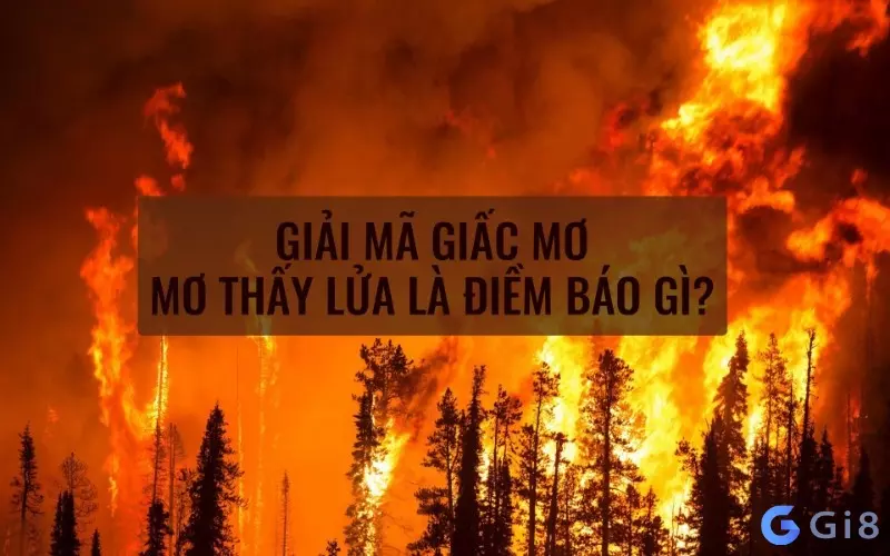 lửa số mấy lửa số mấy
