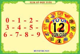 Số hợp tuổi năm 2022