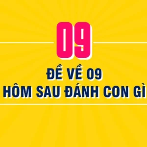 De ve 09 hom sau ve con gi?