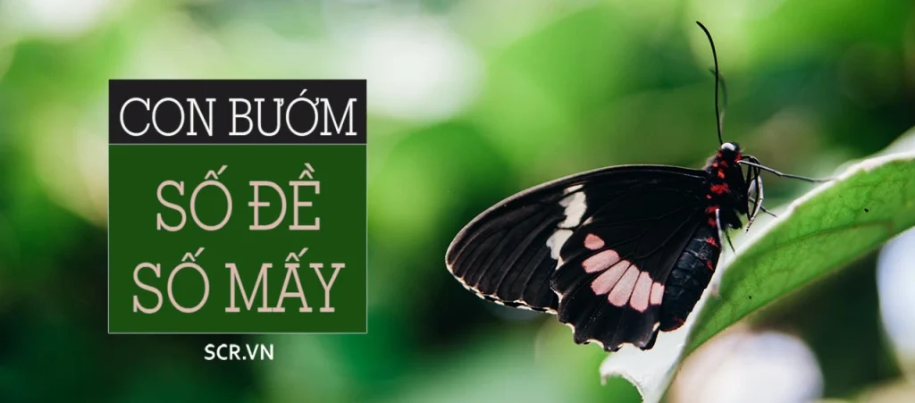 Bướm số đề số mấy năm 2022