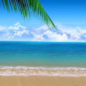 mo thay bien đánh con gì ? (gi88)