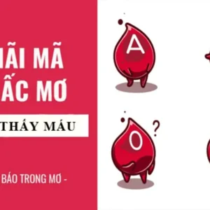 Ý nghĩa mơ thấy máu? Ngủ mơ thấy máu đánh con gì