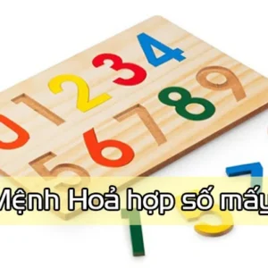 Người mạng hỏa hợp số mấy ?