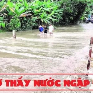 Tình tiết giấc mơ - mơ thấy nước ngập đánh con gì