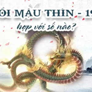 Số may mắn của tuổi mậu thìn - số chính là 3