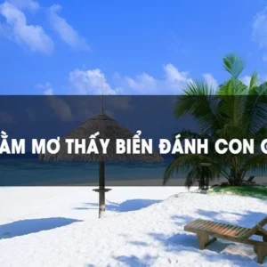 Giải mã ý nghĩa giấc mơ thấy biển