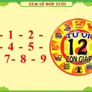 Chi tiết xem tuổi hợp con số nào và ý nghĩa những con số