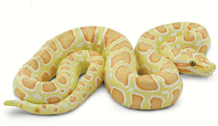 Con trăn số đề số mấy? mộng thấy trăng là điềm báo hung hay cát ? -gi88