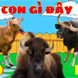 Chiêm bao thấy bò là điềm gì