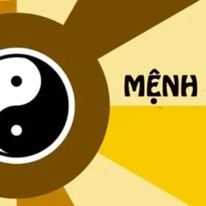 Giải đáp con số hợp với mệnh Kim ứng với 12 giáp