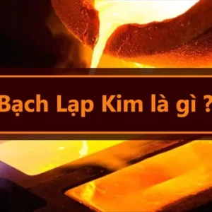 Năm sinh của người mệnh Bạch lạp kim nghĩa là gì?