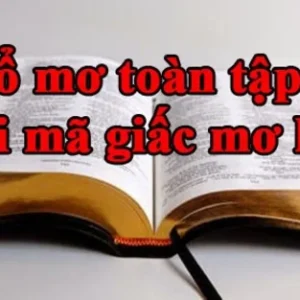 Hiểu rõ thuật ngữ để giải mã những giấc mơ lô đề đúng