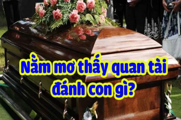 Mơ thấy quan tài đánh số mấy chi tiết giải đáp Mơ thấy quan tài đánh số mấy chi tiết giải đáp