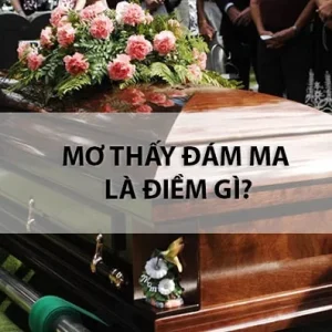 Con số tương ứng - mơ thấy đám ma đánh con gì?