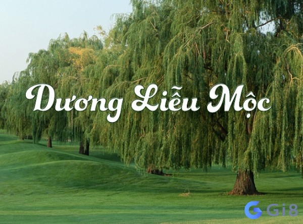 Dương liễu mộc có ý nghĩa gì mệnh dương liễu mộc