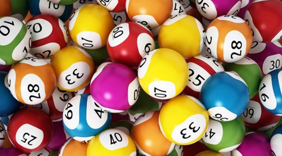 Dàn de nuôi 2 ngày bất tử đánh quanh năm hiệu quả