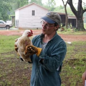 Mơ bắt được gà báo hiệu điềm gì, đánh con số đề bao nhiêu để trúng lớn - gi88