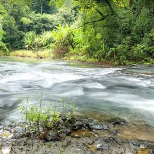 Mệnh tuyền trung thủy - Khám phá 5 điểm nổi bật