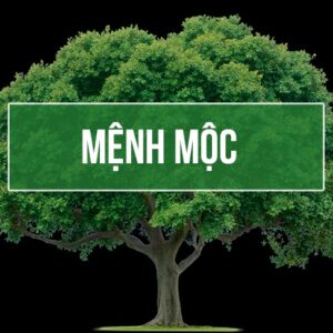 Mệnh mộc hợp số nào? Cùng Gi8 chọn số sim cho mệnh mộc