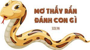 Nằm chiêm bao thấy rắn đánh số gì mới nhất năm 2022