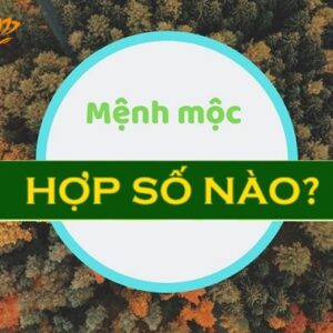 Số hợp mệnh mộc, số khắc mệnh mộc: Cùng Gi8 giải mã