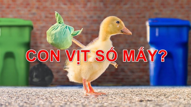 So de con vit là số mấy? Gi8 giải mã giấc mơ về số đề
