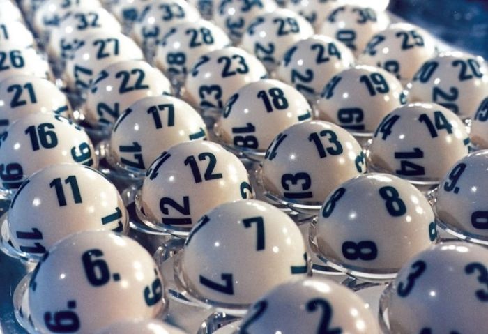 Dàn đề nuôi là gì? Gi8 hướng dẫn cách nuôi dàn hiệu quả