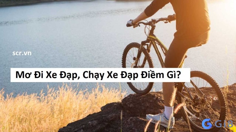 Mơ thấy xe đạp đánh con gì? Giải mã những giấc mơ cùng gi88 Mơ thấy xe đạp đánh con gì? Giải mã những giấc mơ cùng gi88