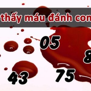 Nhìn thấy máu đánh con gì đổi đời? Gi8 giải mã số đề