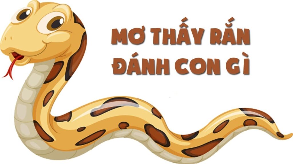 Mơ thấy rắn đánh đề con gì? Gi8 giải mã các con số đề