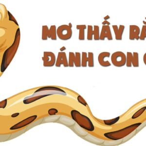 Mơ thấy rắn đánh đề con gì? Gi8 giải mã các con số đề