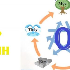 Số hợp với mệnh kim là gì? Gi8 giải mã các con số
