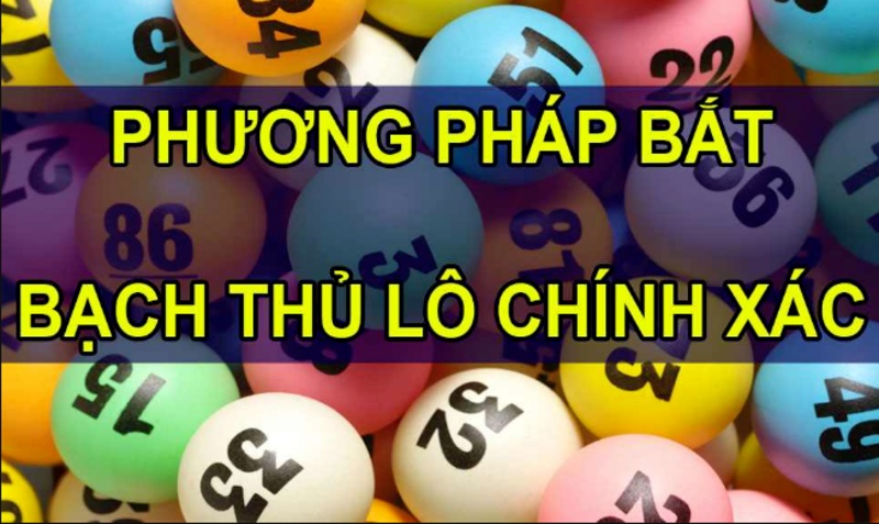 bạch thủ lô và song thủ lô là gì? Gi8 bật mí cách chơi đỉnh cao