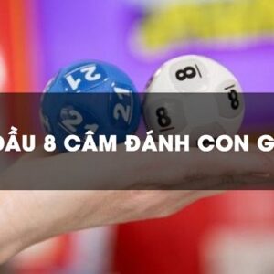 Cam dau 8 danh con gi ngày hôm sau dễ trúng nhất?